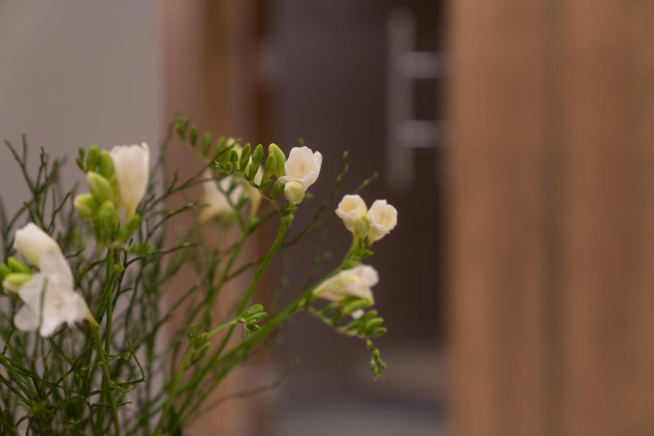Panorama Residence Moesern Seefeld w Tirolu Zewnętrze zdjęcie